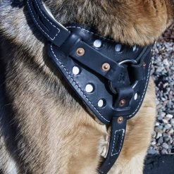 Reflective Sheepskin-Lined Leather Dog Harness -Puppy`s Store 40708REF 9 full 19720.1638911418