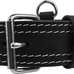 Leather Collar With Flat Handle 2" -Puppy`s Store 407090 2 full 50883.1638911441