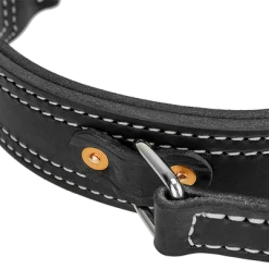 Leather Collar With Flat Handle 2" -Puppy`s Store 407090BR full 05382.1638911443