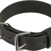 Leather Agitation Dog Collar 2"