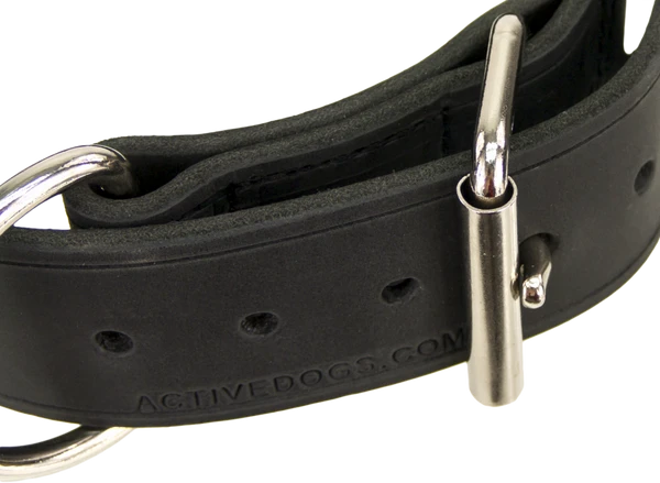 Leather Agitation Dog Collar 2" 4 Leather Agitation Dog Collar 2" - Image 4