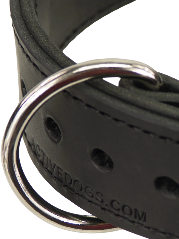 Leather Agitation Dog Collar 2" 5 Leather Agitation Dog Collar 2" - Image 5
