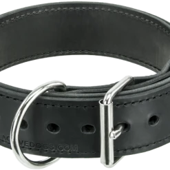 Leather Agitation Dog Collar 2" 15 Leather Agitation Dog Collar 2" -Puppy`s Store 4070912 2 full 17426.1638911493