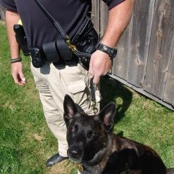 Hands Free Leather Dog Leash 6' -Puppy`s Store 407501 4 full 30643.1638911387