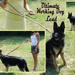 Ultimate Leather Hands Free Dog Leash 6' -Puppy`s Store 407503AD6 30797.1638911410