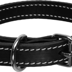 Double Layer Leather Dog Collar 1"