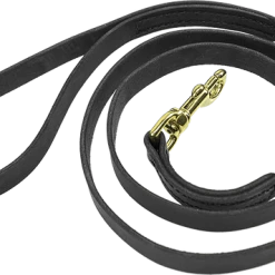Military Spec Leather Dog Leash 3/4" 10 Military Spec Leather Dog Leash 3/4" -Puppy`s Store 408174BK 1 full 26182.1638911417