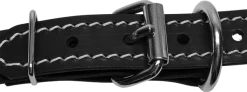 Stitched Leather Dog Collar 1"