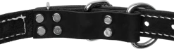 Stitched Leather Dog Collar 1" -Puppy`s Store 415110 2 full 59881.1638911424