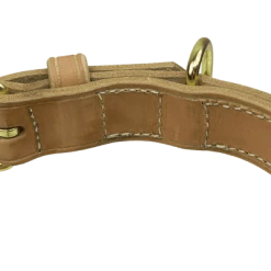 CaliberDog Leather Dog Collar 1.5" -Puppy`s Store 424242 3 full 64929.1638911434