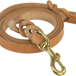 CaliberDog Braided Leather Leash 5.5' -Puppy`s Store 424282 8 full 81881.1638911429