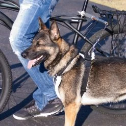 WalkyDog Plus - Stainless Steel -Puppy`s Store 5001002 10 full 82048.1638911444