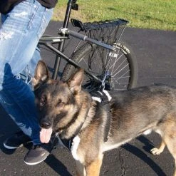 WalkyDog Plus - Stainless Steel -Puppy`s Store 5001002 8 full 90808.1638911456