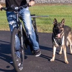 Puppy`s Store -Puppy`s Store 5001002 9 full 44921.1638911442