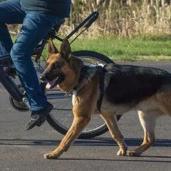 Hundcycler Padded Dog Harness -Puppy`s Store 500100H 7 full 63820.1638911383