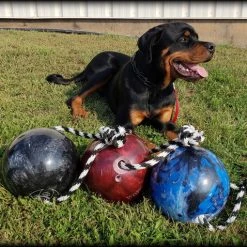 Muscle Building & Exercise Dog Ball W/ Rope -Puppy`s Store 507050 27 full 11481.1638911402