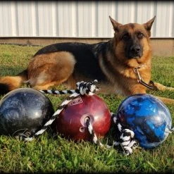 Muscle Building & Exercise Dog Ball W/ Rope -Puppy`s Store 507050 30 full 91210.1638911390