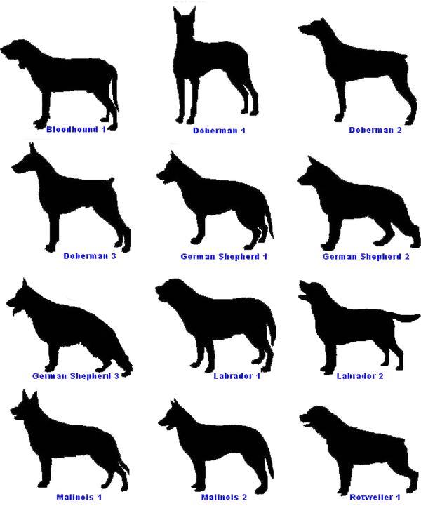 Dog Breed Decals 6 Inch X 4 Inch 1 Dog Breed Decals 6 Inch X 4 Inch