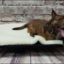 Raised Dog Bed Double Layer Hi-loft Sherpa Pad -Puppy`s Store 6020705 6 full 59627.1638911506