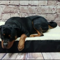 Raised Dog Bed Hi-loft Sherpa Slip Cover -Puppy`s Store 6020706 3 full 55058.1638911516