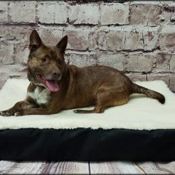 Raised Dog Bed Hi-loft Sherpa Slip Cover -Puppy`s Store 6020706 6 full 99521.1638911504