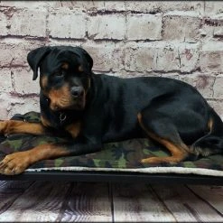 Raised Dog Bed W/ Ballistic Cover & Aluminum Frame -Puppy`s Store 602071 13 full 51998.1638911395