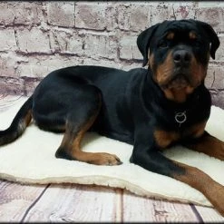 Orthopedic Hi-Loft Sherpa Fleece Dog Beds -Puppy`s Store 602100 2 full 35208.1653305074