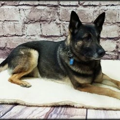 Orthopedic Hi-Loft Sherpa Fleece Dog Beds -Puppy`s Store 602100 6 full 65145.1653305074