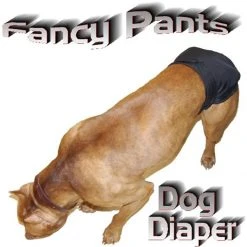 Set Of 3 Fancy Pants Diapers -Puppy`s Store 603003 6 full 60186.1638911357