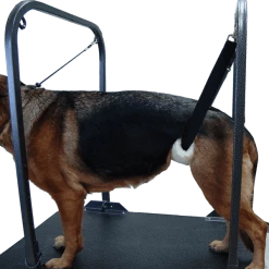 Dog Grooming Under Belly Support -Puppy`s Store 606218 2 full 57127.1638911423