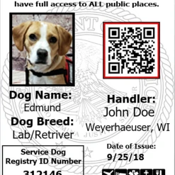 ActiveDogs Registered Service Dog Photo ID Card + Clip-On ID Carrier + FREE Digital ID Copy -Puppy`s Store 701208 1 full 04413.1656416743