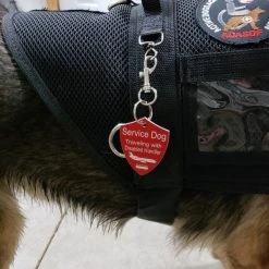 Service Dog Engraved Travel ID Tag -Puppy`s Store 701213 22 full 50051.1644842129