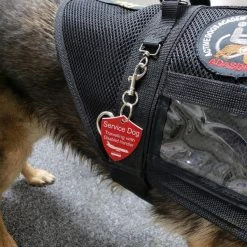 Service Dog Engraved Travel ID Tag -Puppy`s Store 701213 24 full 14293.1644842129