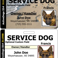 Horizontal Identification Card + Free Digital Copy