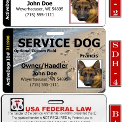 Horizontal Identification Card + Free Digital Copy -Puppy`s Store 701220sd full 67333.1638911376