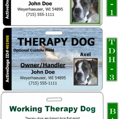 Horizontal Identification Card + Free Digital Copy -Puppy`s Store 701220td full 68970.1638911382