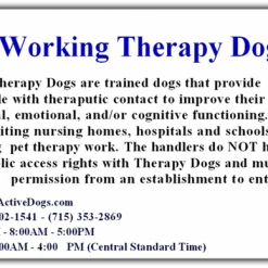 Deluxe Therapy Dog Vest Starter Kit -Puppy`s Store 701224TD 1 full 74823.1638911478