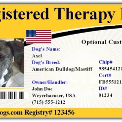 Standard Small Therapy Dog Vest Starter Kit -Puppy`s Store 701224TD full 65042.1638911486