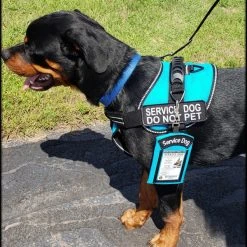 Clip-On Service Dog ID Pouch -Puppy`s Store 701228 4 full 84443.1638911520