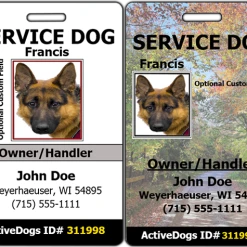 Vertical Identification Card + Free Digital Copy