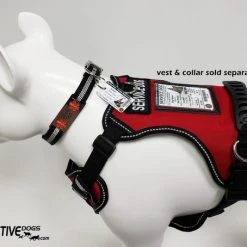 ActiveDogs Registered Service Dog ID Card + 3 Key Tag Cards + Clip-On Carrier + Free Digital Copy -Puppy`s Store 701242 4 full 18125.1638911516