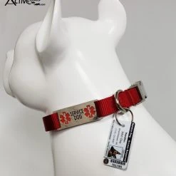 ActiveDogs Registered Service Dog ID Card + 3 Key Tag Cards + Clip-On Carrier + Free Digital Copy -Puppy`s Store 701242 7 full 78167.1638911520