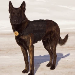 CaliberDog K9 Tactical MOLLE Vest -Puppy`s Store 702900 full 27211.1674741259
