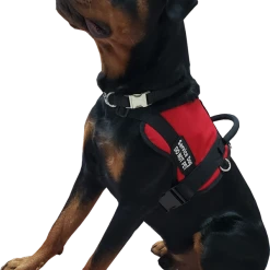 Form Fitted Service Dog Active Cut Vest -Puppy`s Store 70301 105 full 62687.1644234044
