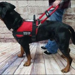 Form Fitted Service Dog Active Cut Vest -Puppy`s Store 70301 110 full 42252.1644234044