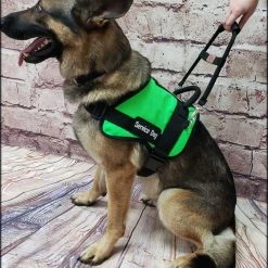 Form Fitted Service Dog Active Cut Vest -Puppy`s Store 70301 111 full 53912.1644234044