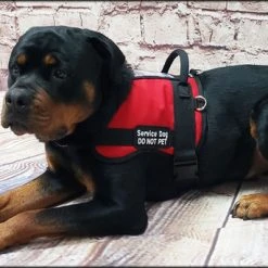 Form Fitted Service Dog Active Cut Vest -Puppy`s Store 70301 115 full 55266.1644234044