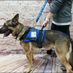 Form Fitted Service Dog Active Cut Vest -Puppy`s Store 70301 117 full 98612.1644234044