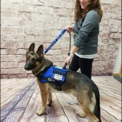 Form Fitted Service Dog Active Cut Vest -Puppy`s Store 70301 121 full 91181.1644234044