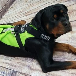 Spacer Mesh Service Dog Cushion Comfort Harness Vest -Puppy`s Store 703100 14 full 08084.1638911478